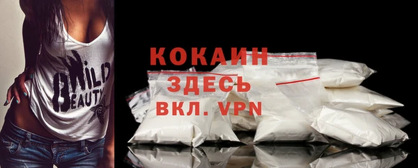 первитин Горняк