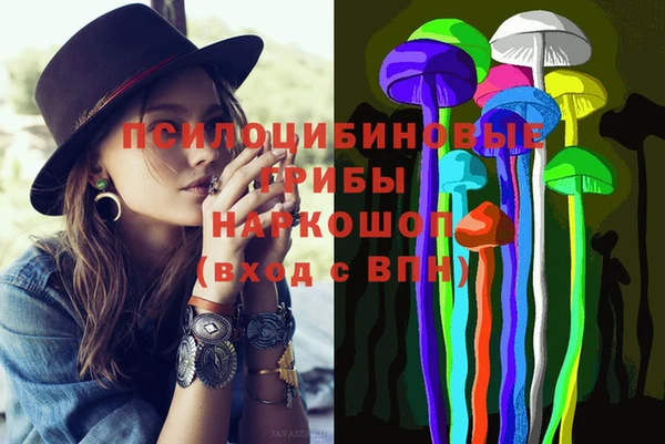 PSILOCYBIN Дмитриев