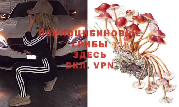 таблы Армянск