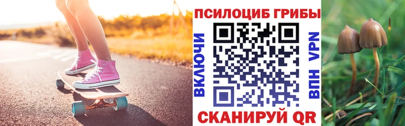что такое наркотик  мега как войти  Псилоцибиновые грибы прущие грибы  Лермонтов 